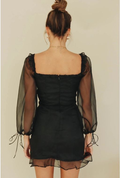 Siri Sheer Organza Ruched Bodice Long Sleeves Black Dress | VYEN